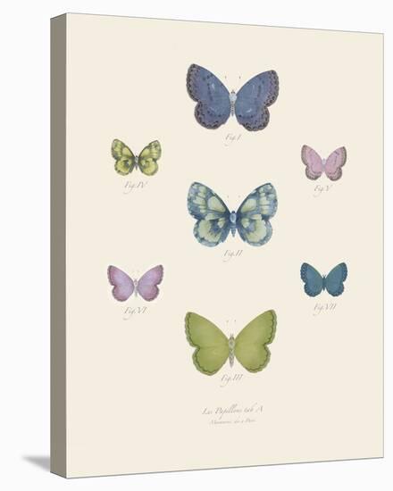Collection de Papillons I-Maria Mendez-Stretched Canvas