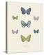 Collection de Papillons I-Maria Mendez-Stretched Canvas