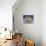 Collection of Teddy Bears-null-Premier Image Canvas displayed on a wall