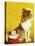 Collie and Kitten - Child Life-Jack Murray-Premier Image Canvas