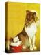 Collie and Kitten - Child Life-Jack Murray-Premier Image Canvas