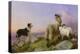 Collie, Ewe and Lambs-Richard Ansdell-Premier Image Canvas