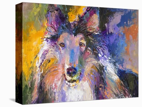 Collie-Richard Wallich-Premier Image Canvas