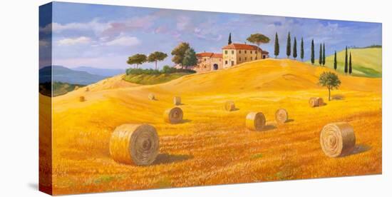 Colline in Toscana-Adriano Galasso-Stretched Canvas