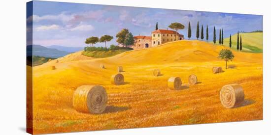 Colline in Toscana-Adriano Galasso-Stretched Canvas