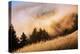 Collision of Light and Fog, Sunset from Mount Tamalpais, San Francisco-Vincent James-Premier Image Canvas