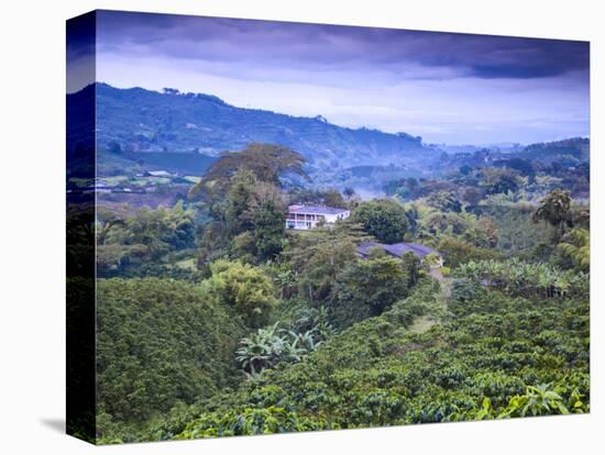Colombia, Caldas, Manizales, Chinchina, Coffee Plantation at Hacienda De Guayabal at Dawn-Jane Sweeney-Premier Image Canvas