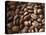 Colombia, Caldas, Manizales, Colombian Coffee Beans-Jane Sweeney-Premier Image Canvas