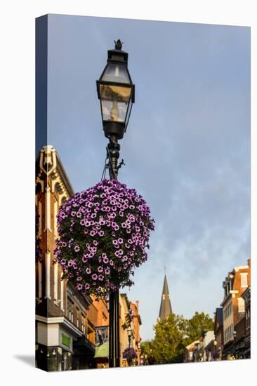 Colonial Architecture in Historic Annapolis, Maryland-Jerry Ginsberg-Premier Image Canvas