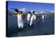 Colony of King Penguins-Paul Souders-Premier Image Canvas