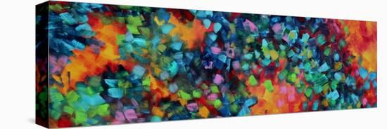 Color Blast-Megan Aroon Duncanson-Stretched Canvas