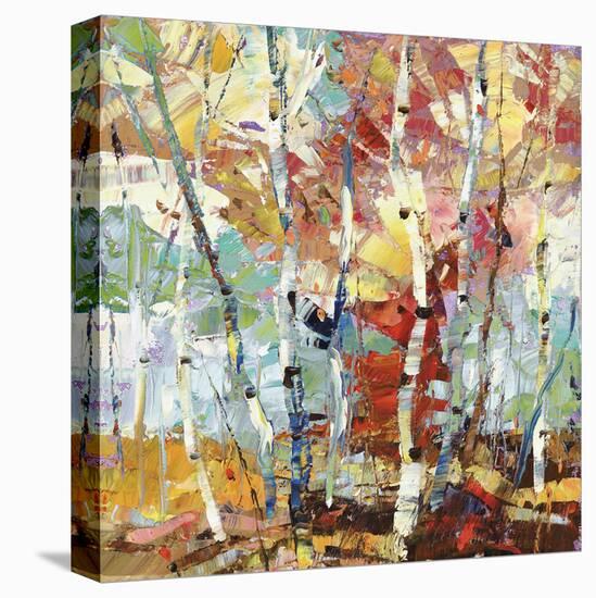 Color Burst 1-Dean Bradshaw-Stretched Canvas