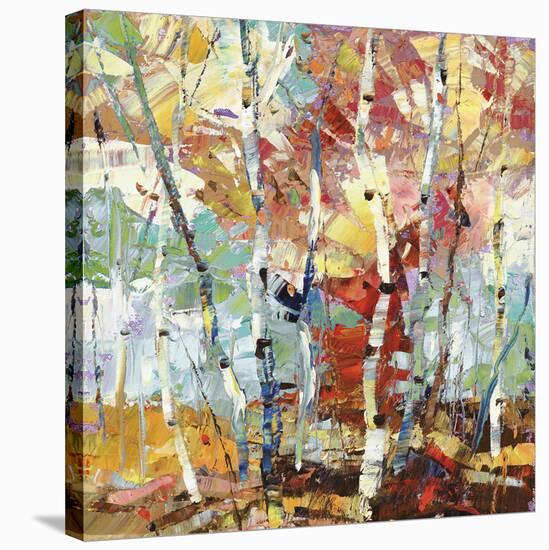 Color Burst 1-Dean Bradshaw-Stretched Canvas