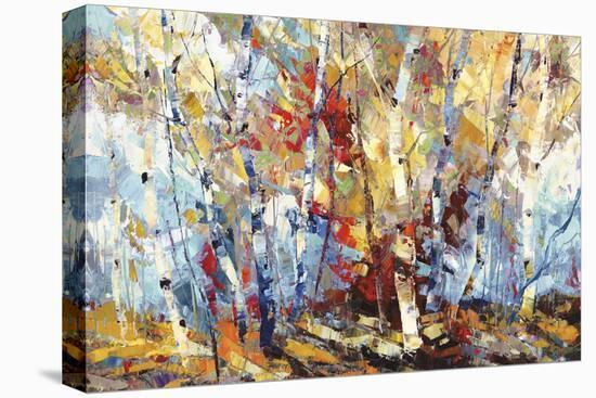 Color Burst 3-Dean Bradshaw-Stretched Canvas