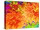 Color Detonation-Ruth Palmer 3-Stretched Canvas