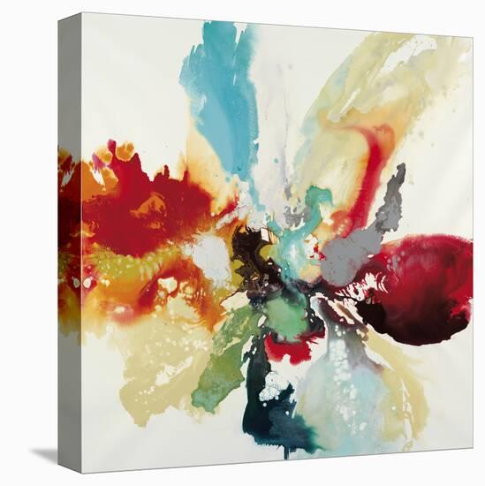 Color Expression-Randy Hibberd-Stretched Canvas