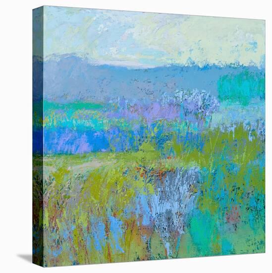 Color Field 41-Jane Schmidt-Stretched Canvas