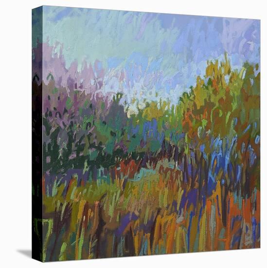 Color Field 62-Jane Schmidt-Stretched Canvas
