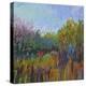 Color Field 62-Jane Schmidt-Stretched Canvas