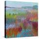 Color Field No. 71-Jane Schmidt-Stretched Canvas
