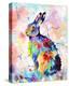 Color Hare-Sarah Stribbling-Stretched Canvas