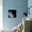 Color Mosaic of the Earth's Moon-null-Premier Image Canvas displayed on a wall