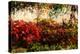 Color of Fall I-Alan Hausenflock-Premier Image Canvas