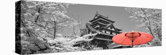 Color Pop, Cherry Blossom Matsue Castle Japan, Living Coral-null-Stretched Canvas