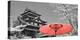 Color Pop, Cherry Blossom Matsue Castle Japan, Living Coral-null-Stretched Canvas