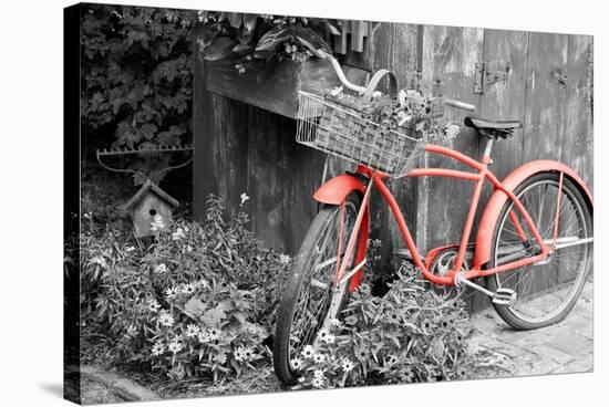 Color Pop, Old bicycle with flower basket next to old outhouse garden shed, Marion County, IL-null-Stretched Canvas