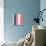 Color Stripe Arrangement 04-Little Dean-Premier Image Canvas displayed on a wall