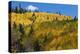 Colorado. Autumn Yellow Aspen, Mountains, and Clouds, Uncompahgre National Forest-Judith Zimmerman-Premier Image Canvas
