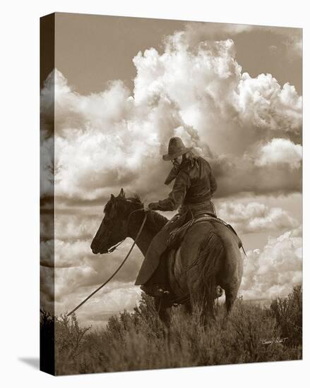 Colorado Cowboy-Barry Hart-Stretched Canvas