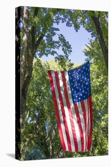 Colorado, Crawford. Flag Hanging Between Two Trees-Jaynes Gallery-Premier Image Canvas