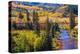 Colorado Fall Foliage-duallogic-Premier Image Canvas