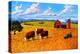 Colorado Farm In Late Summer-Patty Baker-Stretched Canvas