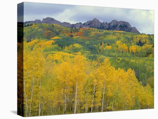 Colorado, Gunnison National Forest-John Barger-Premier Image Canvas