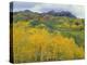 Colorado, Gunnison National Forest-John Barger-Premier Image Canvas