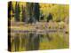 Colorado, Gunnison National Forest-John Barger-Premier Image Canvas