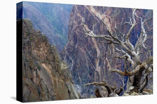 Colorado, Gunnison National Park. Scenic of Black Canyon-Jaynes Gallery-Premier Image Canvas