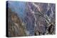 Colorado, Gunnison National Park. Scenic of Black Canyon-Jaynes Gallery-Premier Image Canvas