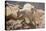 Colorado, Mt. Evans. Mountain Goat Kids Playing-Jaynes Gallery-Premier Image Canvas