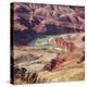 Colorado River as Seen from the Lipan Point, Grand Canyon National Park, Arizona, Usa-Rainer Mirau-Premier Image Canvas