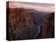 Colorado River in the Grand Canyon-Danny Lehman-Premier Image Canvas