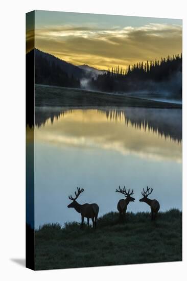 Colorado, Rocky Mountain National Park. Bull Elks Silhouetted Against Poudre Lake at Sunrise-Jaynes Gallery-Premier Image Canvas