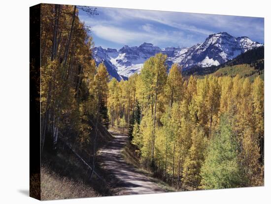 Colorado, Rocky Mountains, Dirt Road, Autumn Aspens in the Backcountry-Christopher Talbot Frank-Premier Image Canvas