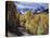 Colorado, Rocky Mountains, Dirt Road, Autumn Aspens in the Backcountry-Christopher Talbot Frank-Premier Image Canvas