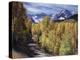 Colorado, Rocky Mountains, Dirt Road, Autumn Aspens in the Backcountry-Christopher Talbot Frank-Premier Image Canvas