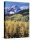 Colorado, Rocky Mts, Aspen Trees Below a Mountain Peak in Fall-Christopher Talbot Frank-Premier Image Canvas