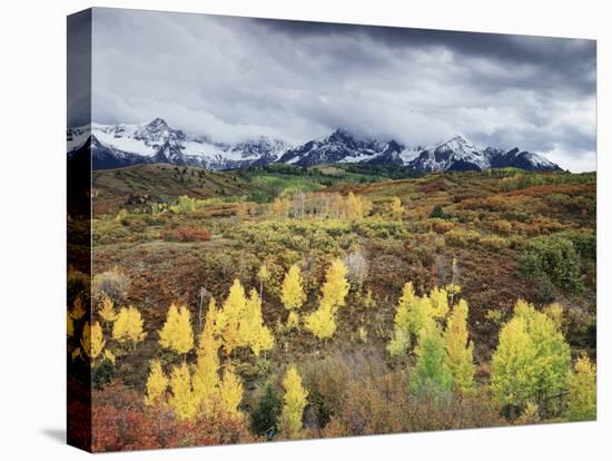 Colorado, San Juan Mountains, a Storm over Aspens at the Dallas Divide-Christopher Talbot Frank-Premier Image Canvas